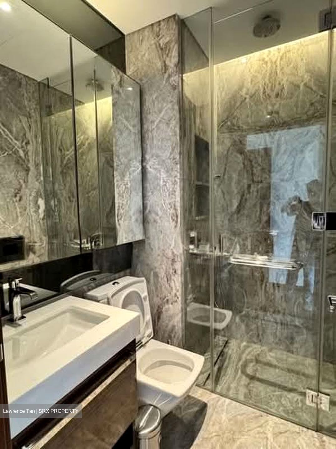The Orchard Residences (D9), Apartment #564055691